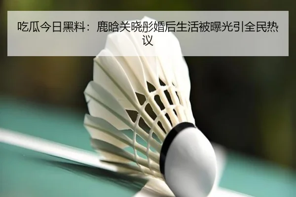 chi-gua-jin-ri-hei-liao-lu-han-guan-xiao-tong-hun-hou-sheng-huo-bei-bao-guang-yin-quan-min-re-yi-2-649.jpg
